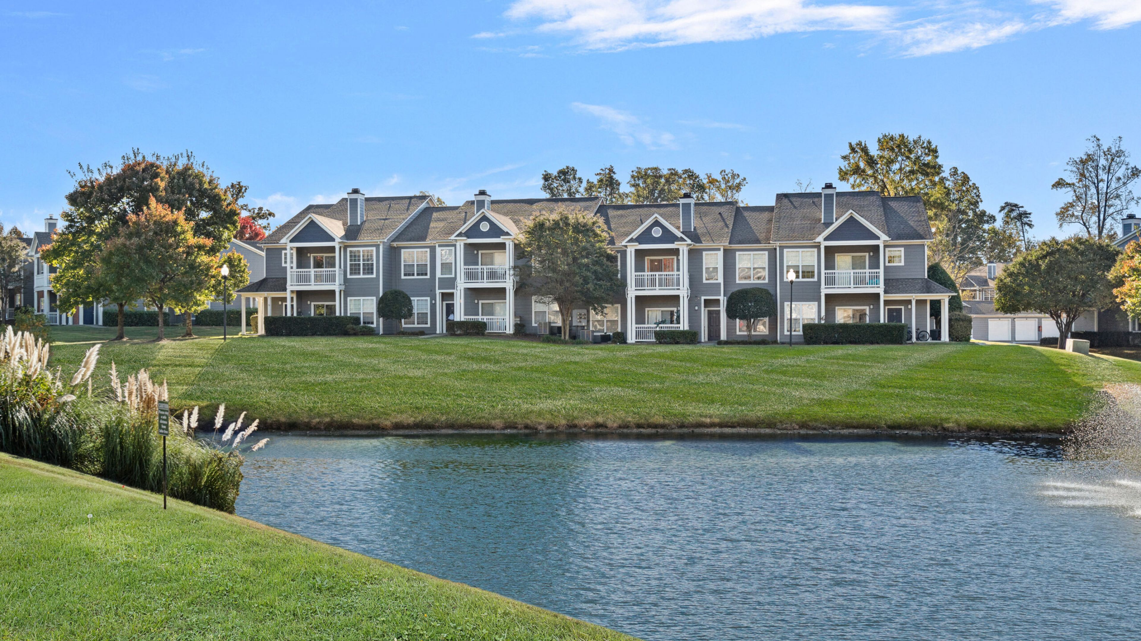 Hawthorne Bridford cute dog sitting on apartment living room floor